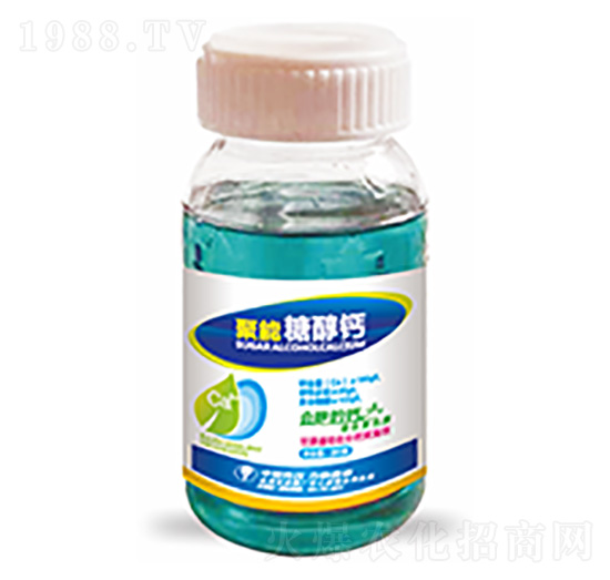 �����Ǵ��}-�����Ƽ�