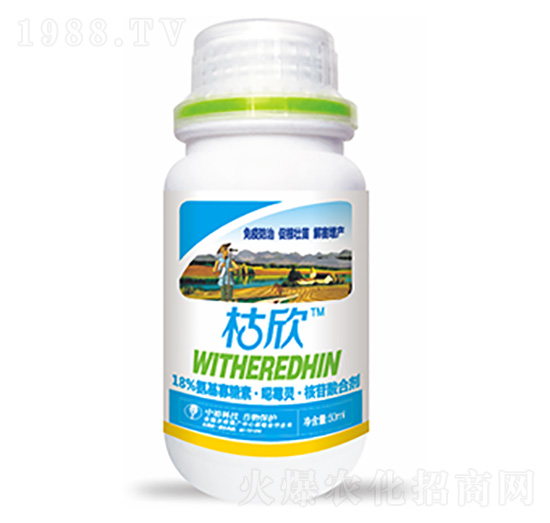 18%���������ء���ù�`��������τ�-����-�����Ƽ�