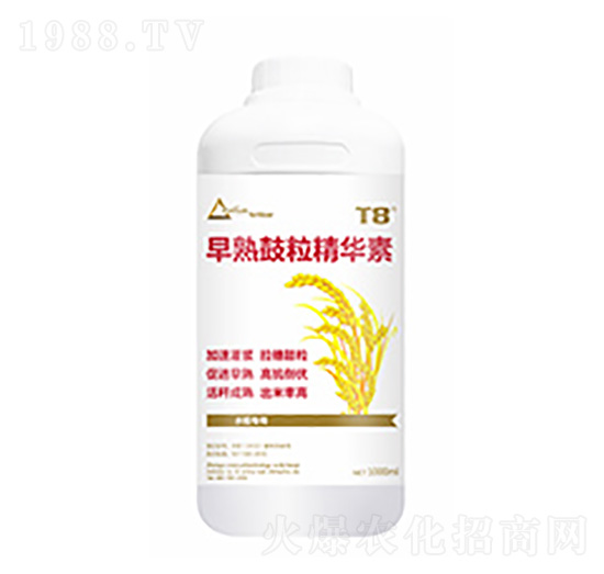 ����������A��-�����Ƽ�