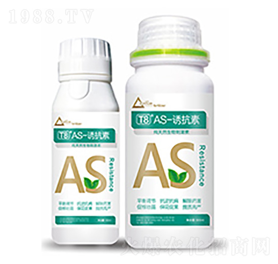 T8��AS-�T����-�����Ƽ�