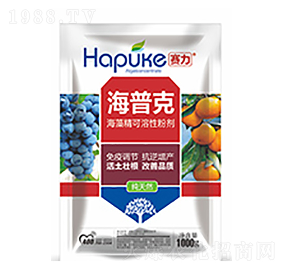 ِ�����տ�-�����Ƽ�