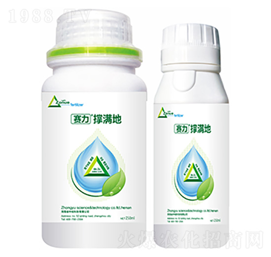 �ΝM��-�����Ƽ�