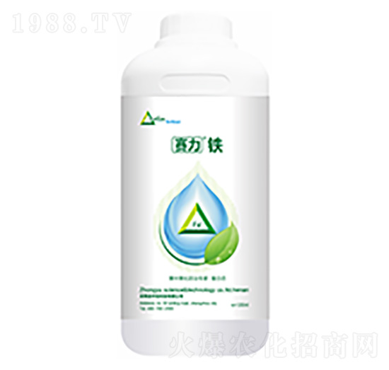 ِ���F-�����Ƽ�