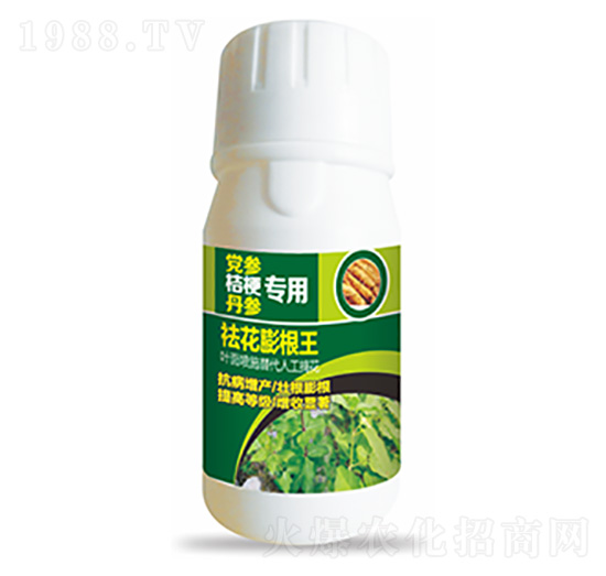 �h���۹���������-������-�����Ƽ�