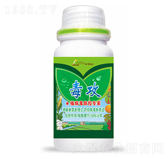 ����-�����Ƽ�