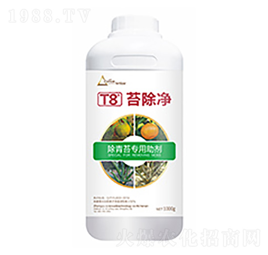 ̦����T8-�����Ƽ�