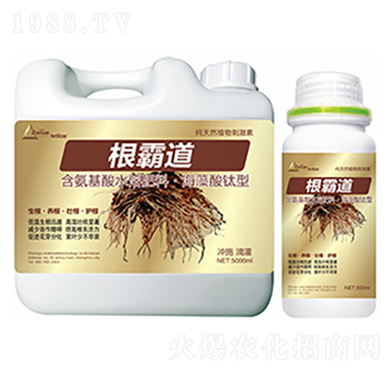 ���Ե�-�����Ƽ�