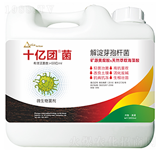 ���ѿ�ߗU��-ʮ�|�F(tu��n)��-�����Ƽ�