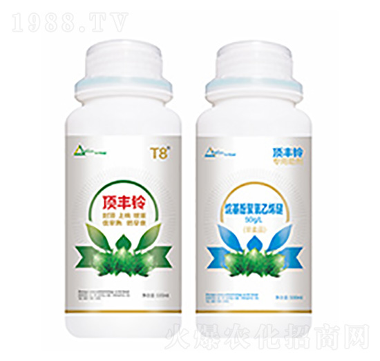 ��S�-�����Ƽ�