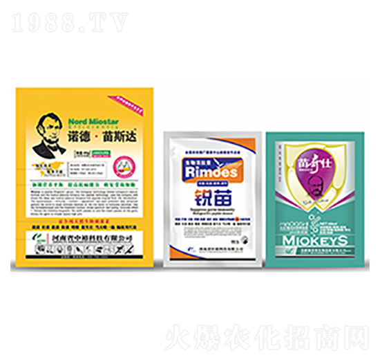 �Z����˹�_-�����Ƽ�