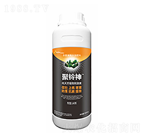 �����-�����Ƽ�