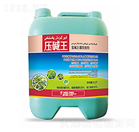 �}�A����������-���A��-�����Ƽ�