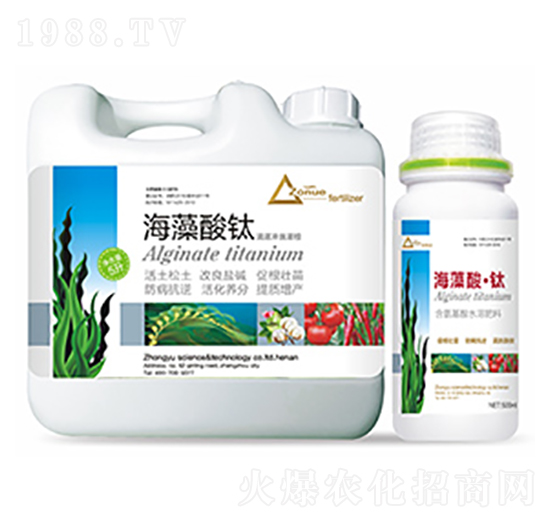 �������-�����Ƽ�