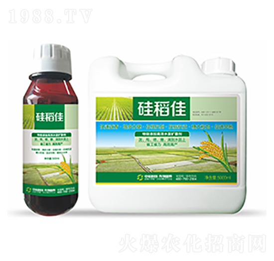 �赾��-�����Ƽ�