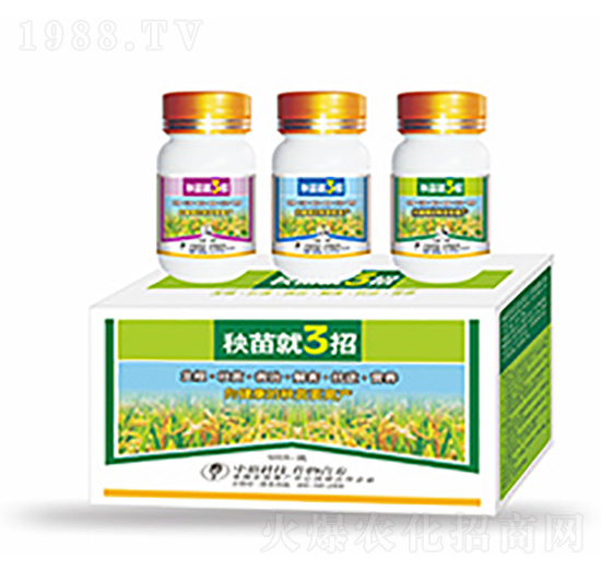 �����3��-�����Ƽ�