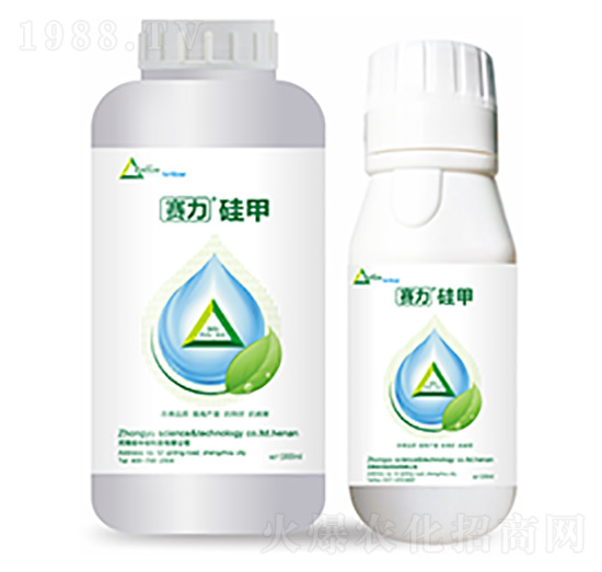 ِ�����-�����Ƽ�