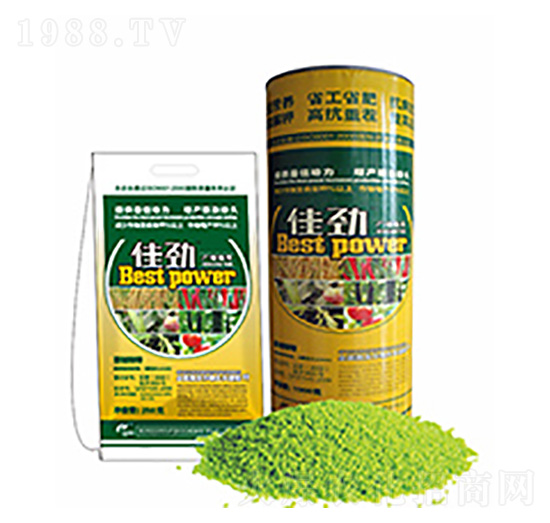 �ф�-�����Ƽ�