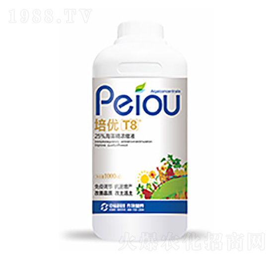 ����(y��u)T8-�����Ƽ�