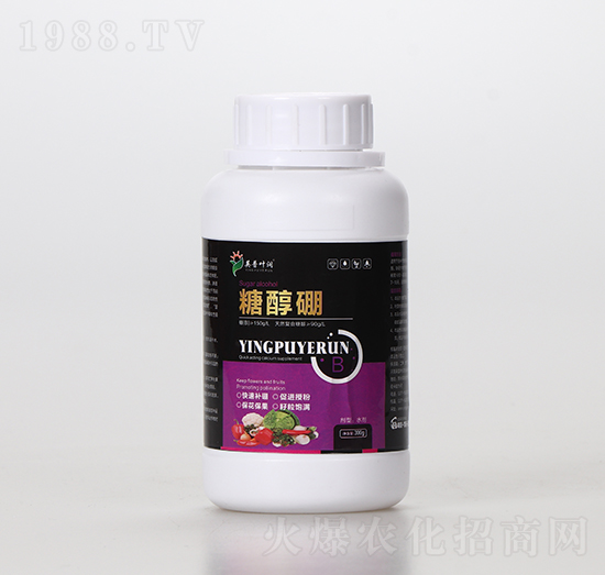 �Ǵ���-Ӣ���~��(r��n)