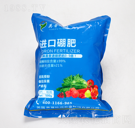 �M(j��n)�����-Ӣ���~��(r��n)