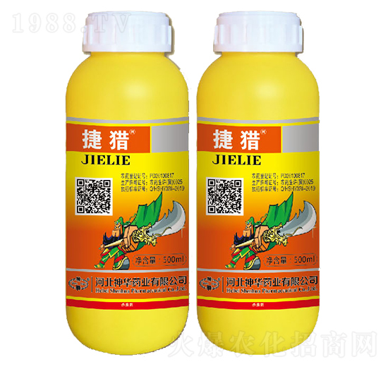 50��ÿ�������-�ݫC-���A