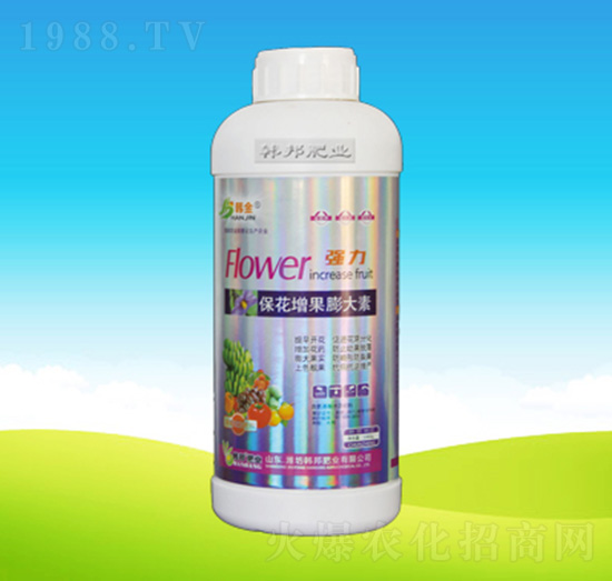 �������������-�n��ʘI(y��)