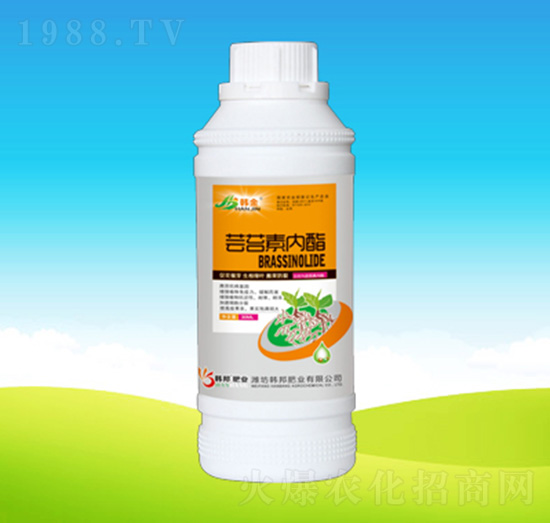 �|̦�؃�(n��i)֬-�n��ʘI(y��)