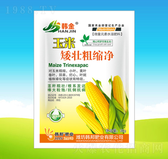 ���װ��Ѵֿs��-�n��ʘI(y��)