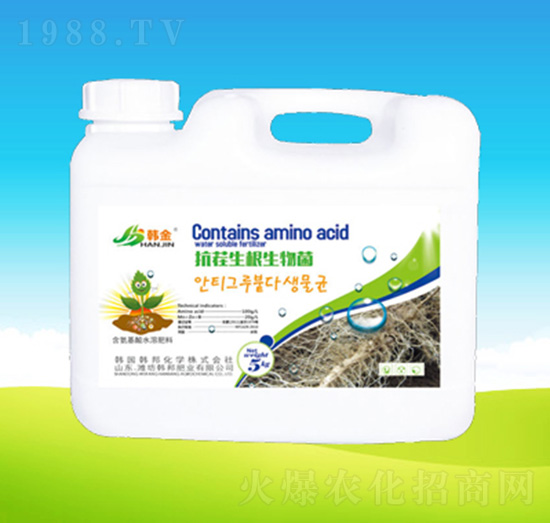 �������������-�n��ʘI(y��)