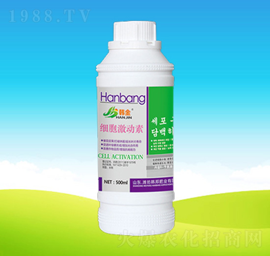 ����������-�n��ʘI(y��)