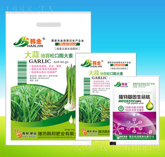 �����̦�ɿ������-�n��ʘI(y��)