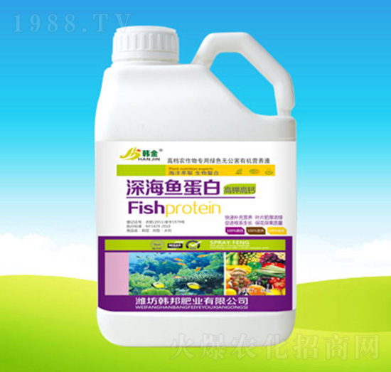 ��~����-�n��ʘI(y��)