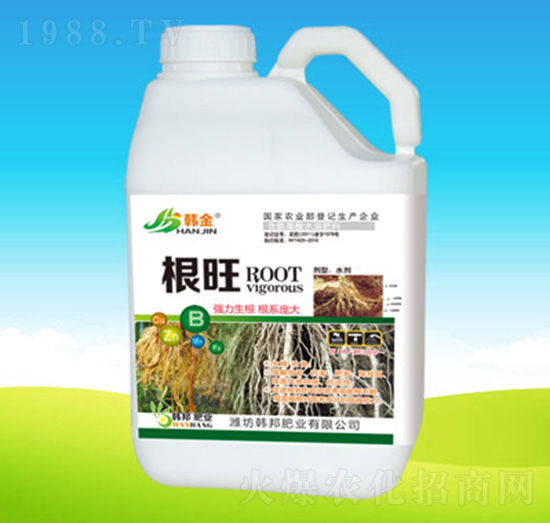 �������أ�-�n��ʘI(y��)