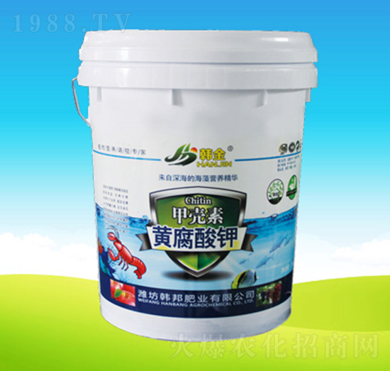 �ך����S�����-�n��ʘI(y��)