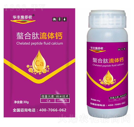 ���������w�}-�A�Sʩ���S-�滯���h(yu��n)