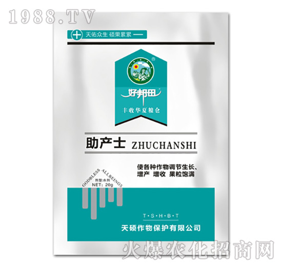 ���aʿ-��T����