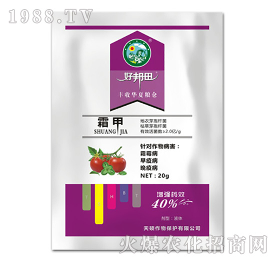 ˪��-�ð���-��T����