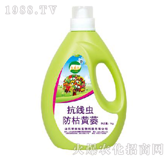 �����x(ch��ng)�����Sή-����������