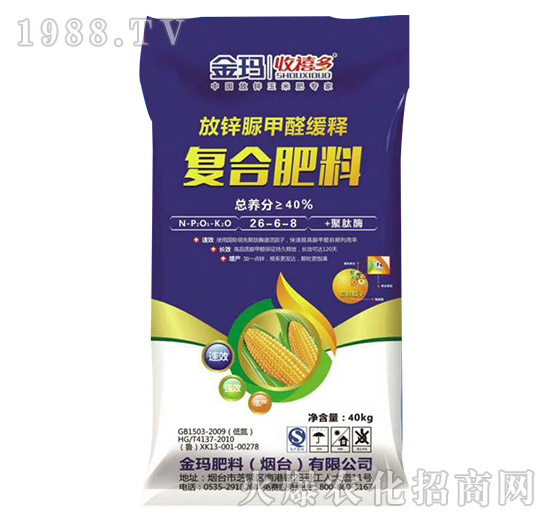 ���\���ȩ��ጏͺϷ���26-6-8-������-��