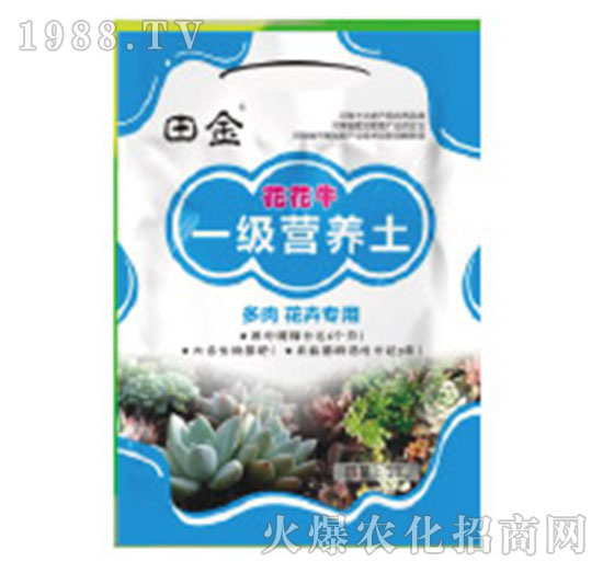 һ��(j��)�I(y��ng)�B(y��ng)��-����ţ-�������