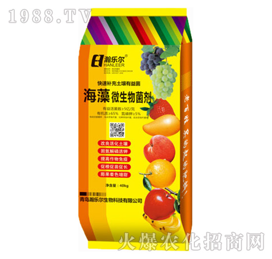 ����΢���������40kg��-嫘���