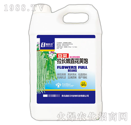 豆類拉長(zhǎng)嫩直花莢飽-瀚樂爾