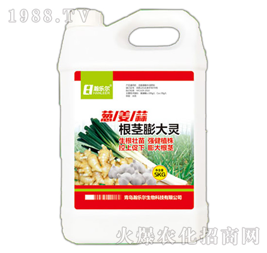 ���o����`-嫘�(l��)��