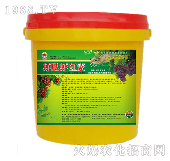 �r���r�t�؛_ʩ��-��̩����