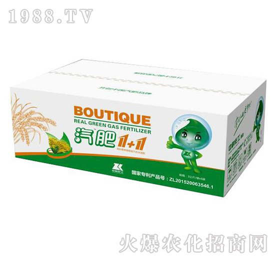 ���bˮ������1+1-�пƻ���