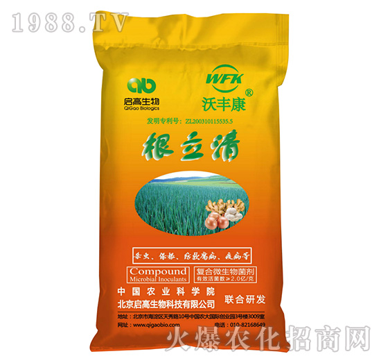 ��(f��)��΢�������-������-���S��-��������