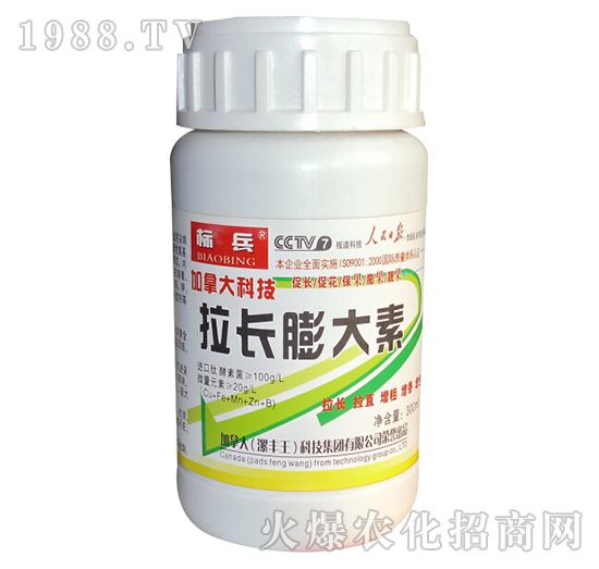 拉長膨大素-標(biāo)兵-漯豐王