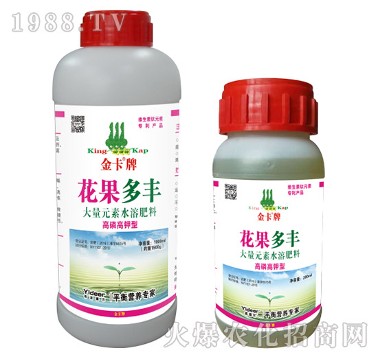 花果多豐-金卡-德?tīng)柹? style=