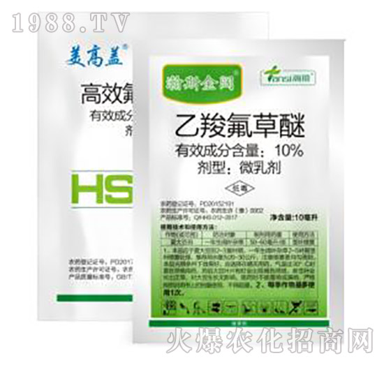 �˹���_(d��)���M��-�˹����