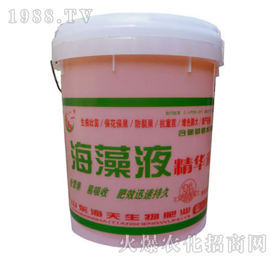 ���徫�AҺ-��������